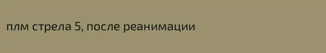плм стрела 5, после реанимации